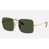 SQUARE 1971 CLASSIC
Lenses: Green Classic  +  Frame: Gold