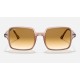 Square II
Lenses: Light Brown Gradient  +  Frame: Transparent Brown