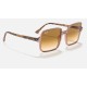 Square II
Lenses: Light Brown Gradient  +  Frame: Transparent Brown