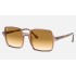 Square II
Lenses: Light Brown Gradient  +  Frame: Transparent Brown