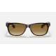 NEW WAYFARER CLASSIC
Lenses: Light Brown Gradient  +  Frame: Tortoise