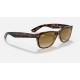 NEW WAYFARER CLASSIC
Lenses: Light Brown Gradient  +  Frame: Tortoise