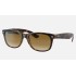 NEW WAYFARER CLASSIC
Lenses: Light Brown Gradient  +  Frame: Tortoise
