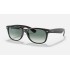 NEW WAYFARER FLASH GRADIENT LENSES
Lenses: Green Gradient  +  Frame: Black
