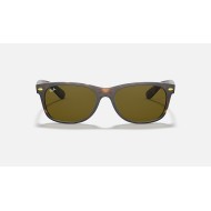 RB2132M SCUDERIA FERRARI COLLECTION
Lenses: Brown Classic B-15  +  Frame: Tortoise