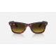ORIGINAL WAYFARER BIO-ACETATE
Lenses: Brown Gradient  +  Frame: Striped Red
