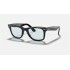 ORIGINAL WAYFARER WASHED LENSES
Lenses: Light Grey Classic  +  Frame: Shiny Black