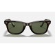 ORIGINAL WAYFARER CLASSIC
Lenses: Green Classic G-15  +  Frame: Tortoise