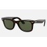 ORIGINAL WAYFARER CLASSIC
Lenses: Green Classic G-15  +  Frame: Tortoise