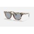 METEOR STRIPED HAVANA
Lenses: Blue Mirror  +  Frame: Striped Grey Gradient Brown