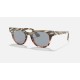 METEOR STRIPED HAVANA
Lenses: Blue Mirror  +  Frame: Striped Grey Gradient Brown