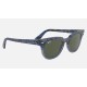 METEOR CLASSIC
Lenses: Green Classic G-15  +  Frame: Blue Gradient Havana