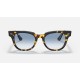 METEOR FLECK
Lenses: Light Blue Gradient  +  Frame: Yellow Havana