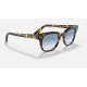 METEOR FLECK
Lenses: Light Blue Gradient  +  Frame: Yellow Havana