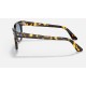 METEOR FLECK
Lenses: Light Blue Gradient  +  Frame: Yellow Havana