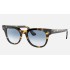 METEOR FLECK
Lenses: Light Blue Gradient  +  Frame: Yellow Havana