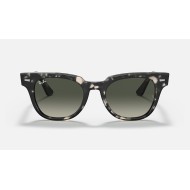 METEOR FLECK
Lenses: Grey Gradient  +  Frame: Grey Havana