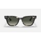 METEOR FLECK
Lenses: Grey Gradient  +  Frame: Grey Havana