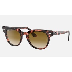 METEOR FLECK
Lenses: Light Brown Gradient  +  Frame: Pink Havana