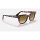 METEOR FLECK
Lenses: Light Brown Gradient  +  Frame: Pink Havana