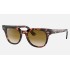 METEOR FLECK
Lenses: Light Brown Gradient  +  Frame: Pink Havana