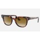 METEOR FLECK
Lenses: Light Brown Gradient  +  Frame: Pink Havana