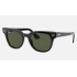 METEOR CLASSIC
Lenses: Green Classic  +  Frame: Black