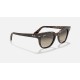 METEOR CLASSIC
Lenses: Light Grey Gradient  +  Frame: Tortoise