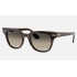 METEOR CLASSIC
Lenses: Light Grey Gradient  +  Frame: Tortoise