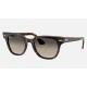 METEOR CLASSIC
Lenses: Light Grey Gradient  +  Frame: Tortoise