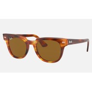 METEOR CLASSIC
Lenses: Brown Classic  +  Frame: Striped Havana