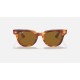 METEOR CLASSIC
Lenses: Brown Classic  +  Frame: Striped Havana