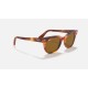 METEOR CLASSIC
Lenses: Brown Classic  +  Frame: Striped Havana