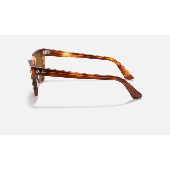 METEOR CLASSIC
Lenses: Brown Classic  +  Frame: Striped Havana