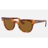METEOR CLASSIC
Lenses: Brown Classic  +  Frame: Striped Havana