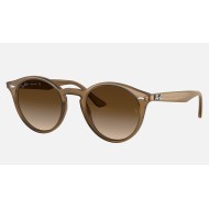RB2180
Lenses: Brown Gradient  +  Frame: Light Brown