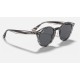 RB2180
Lenses: Grey Classic  +  Frame: Striped Grey Havana