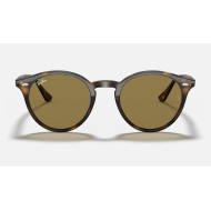 RB2180
Lenses: Brown Classic B-15  +  Frame: Tortoise
