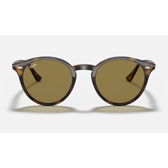 RB2180
Lenses: Brown Classic B-15  +  Frame: Tortoise