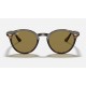 RB2180
Lenses: Brown Classic B-15  +  Frame: Tortoise