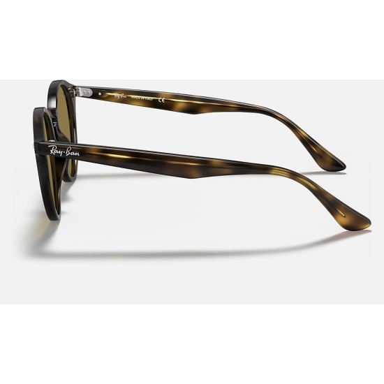 RB2180
Lenses: Brown Classic B-15  +  Frame: Tortoise