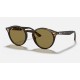 RB2180
Lenses: Brown Classic B-15  +  Frame: Tortoise