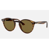 RB2180
Lenses: Brown Classic B-15  +  Frame: Striped Red Havana