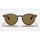RB2180
Lenses: Brown Classic B-15  +  Frame: Striped Red Havana
