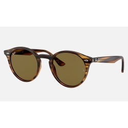RB2180
Lenses: Brown Classic B-15  +  Frame: Striped Red Havana