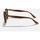 RB2180
Lenses: Brown Classic B-15  +  Frame: Striped Red Havana