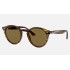 RB2180
Lenses: Brown Classic B-15  +  Frame: Striped Red Havana