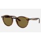 RB2180
Lenses: Brown Classic B-15  +  Frame: Striped Red Havana