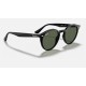 RB2180
Lenses: Green Classic  +  Frame: Black