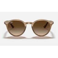 RB2180
Lenses: Brown Gradient  +  Frame: Light Brown